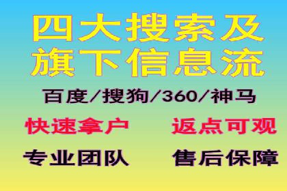 SEM运营推广助力行业领导地位